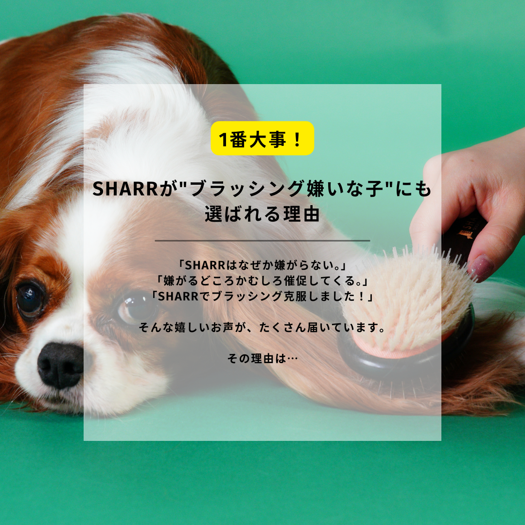 【予約販売:12月上旬発送】魔法のペットブラシ SHARR