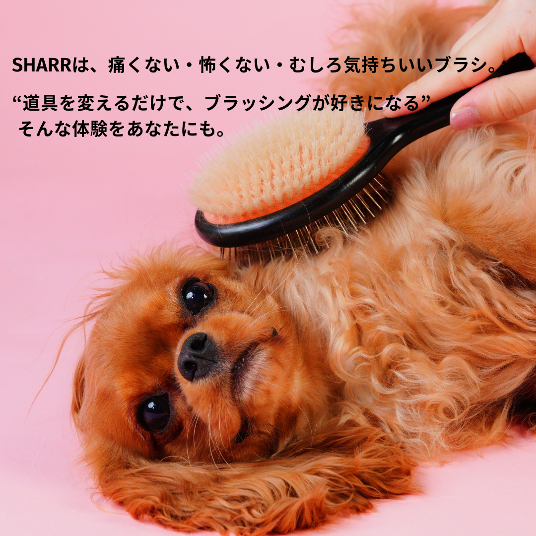 【予約販売:12月上旬発送】魔法のペットブラシ SHARR