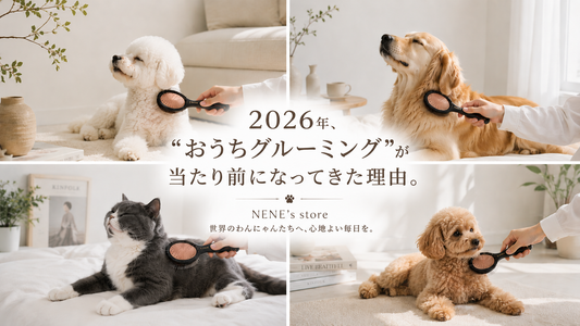 2026年、“おうちグルーミング”が当たり前になってきた理由。