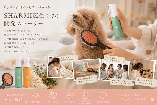 「ブラシだけでは完成しなかった」SHARMI誕生までの開発ストーリー