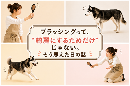 ブラッシングって、"綺麗にするためだけ”じゃない。そう思えた日の話