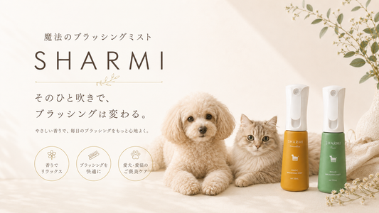 Makuakeプロジェクト終了のご報告と、公式サイト予約販売開始のお知らせ