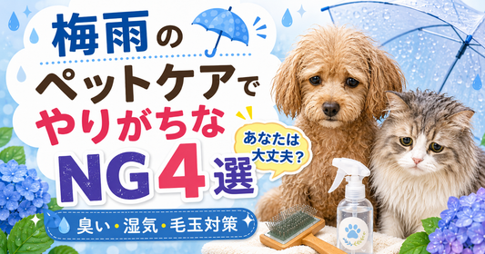 梅雨のペットケアでやりがちなNG4選