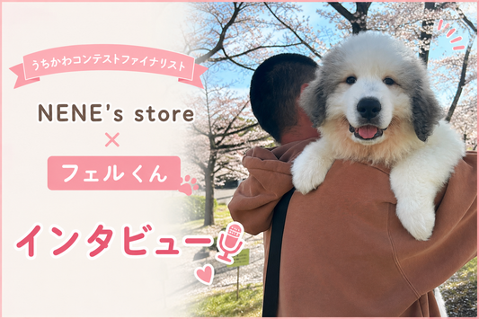 NENE's store✖️フェルくん🐶うちかわコンテストのファイナリストインタビュー🎙️💕✨