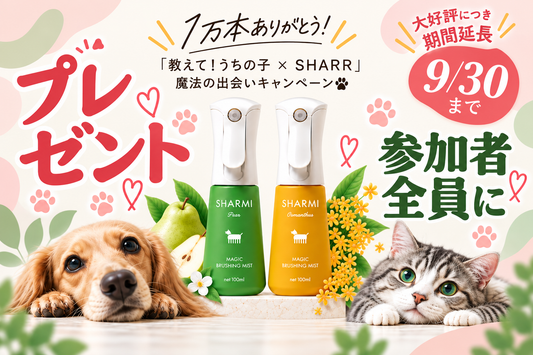 【大好評につき延長決定🎉】1万本ありがとう！「うちの子とSHARR」キャンペーン開催中✨
