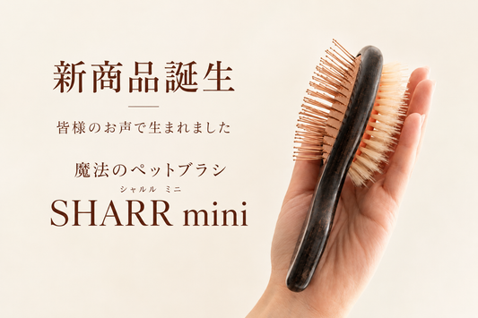 小さなブラシに込めた想い。SHARR mini（シャルルミニ）が生まれた理由🐾✨