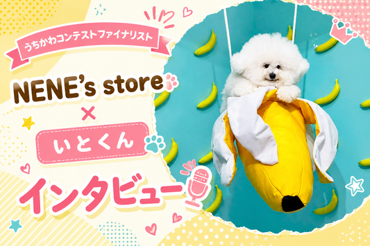 NENE's store✖️いとくん🐶うちかわコンテストのファイナリストインタビュー🎙️💕✨