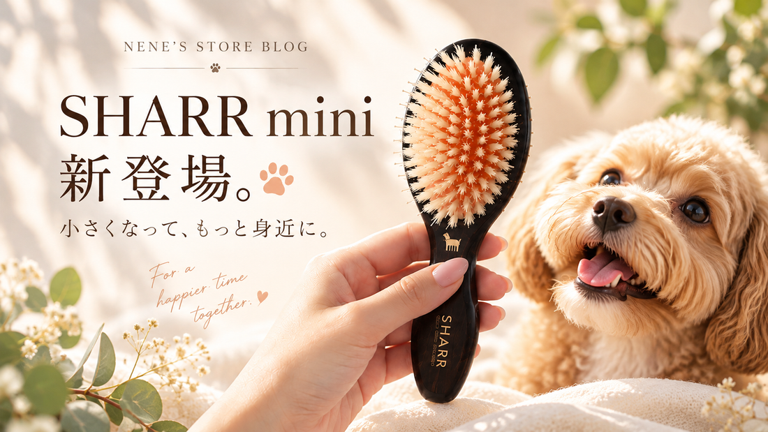 【10/31まで】SHARRシリーズご予約でSHARMIプレゼント！🎁
