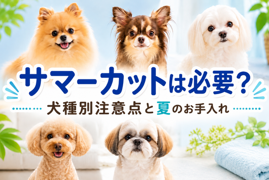 犬のサマーカットは必要？犬種別の注意点と夏のお手入れ方法