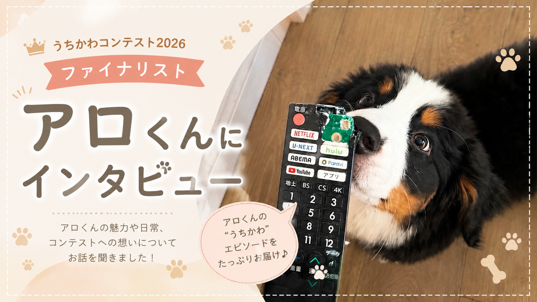 うちかわファイナリスト インタビューSTART！🎤🤍