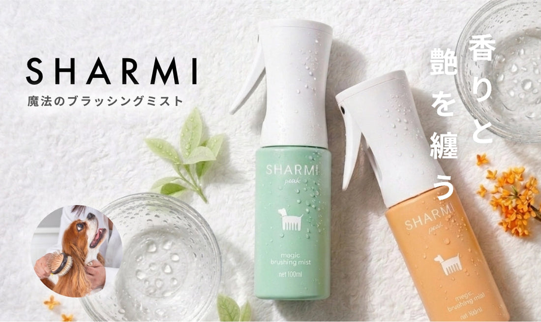 魔法のブラッシングミストSHARMI（シャルミ）、2026年5月末先行予約販売開始✨