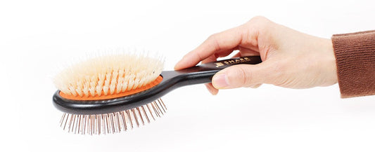 なでるように梳かすのがコツ？猪毛についての秘密🐗✨