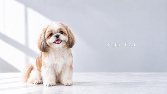 blog-hero