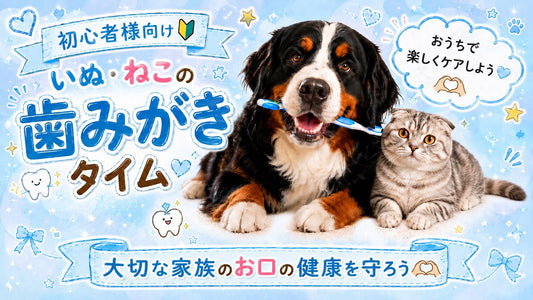 初心者向け！🐶🪥歯磨きスキンシップ魔法の3ステップ🫧✨