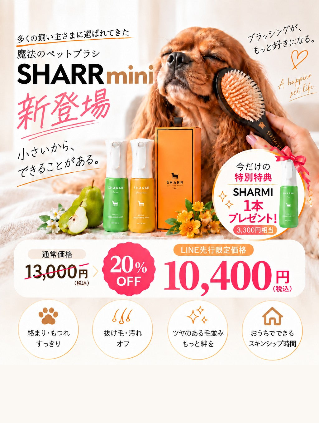 SHARR mini 先行予約受付中（既存SHARR購入者さま向け）