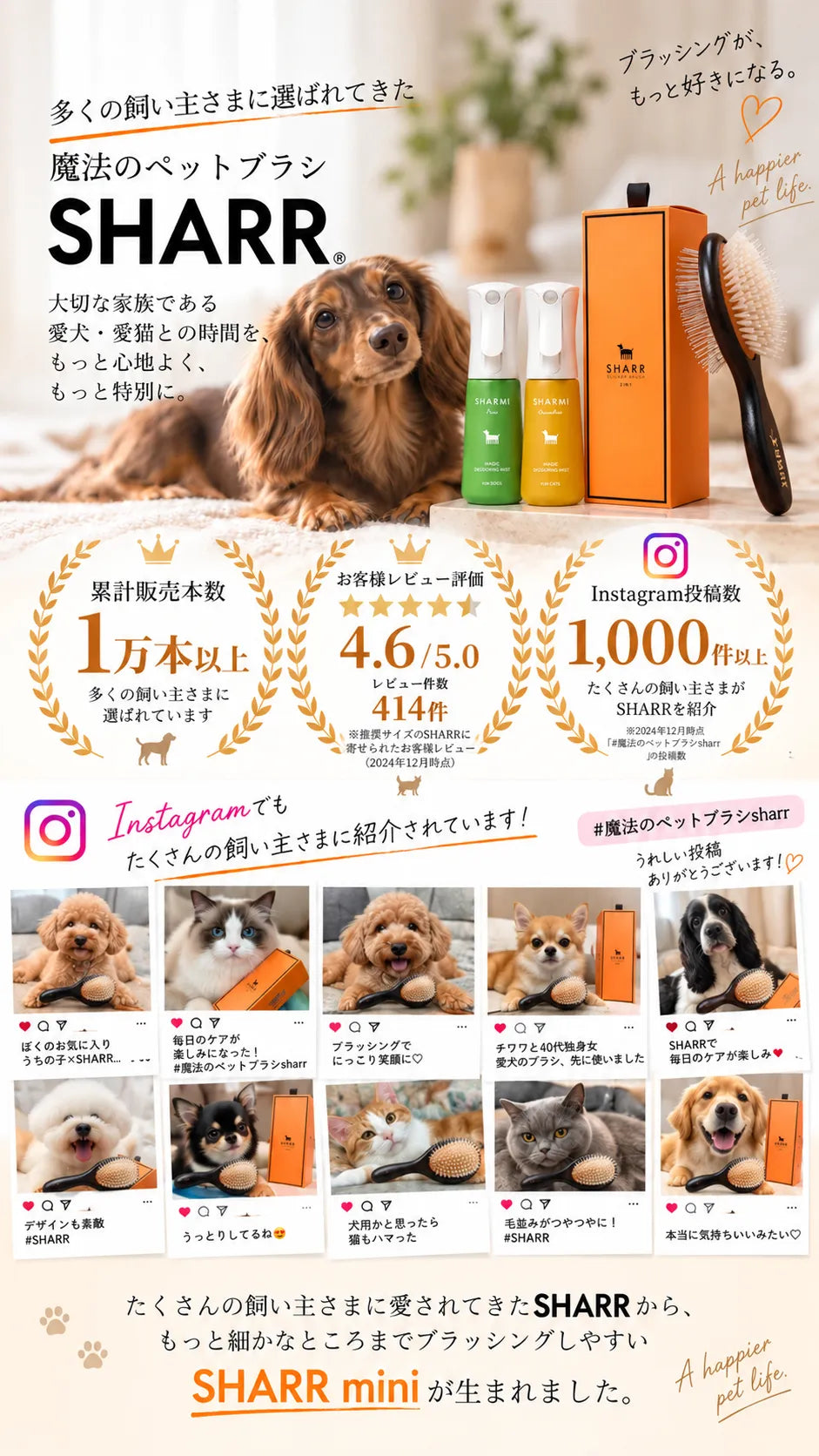 SHARR 累計販売本数1万本以上、お客様レビュー評価4.6/5.0（414件）、Instagram投稿数1,000件以上
