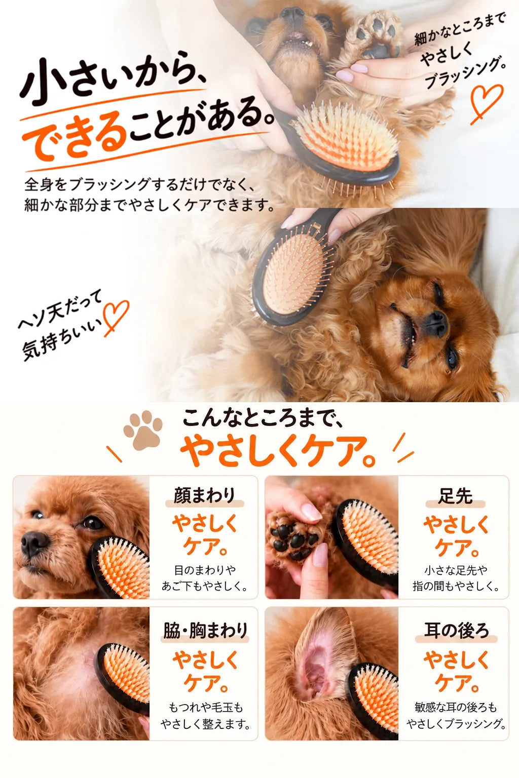 小さいから、できることがある。顔まわり・足先・脇や胸まわり・耳の後ろまで、やさしくケア。