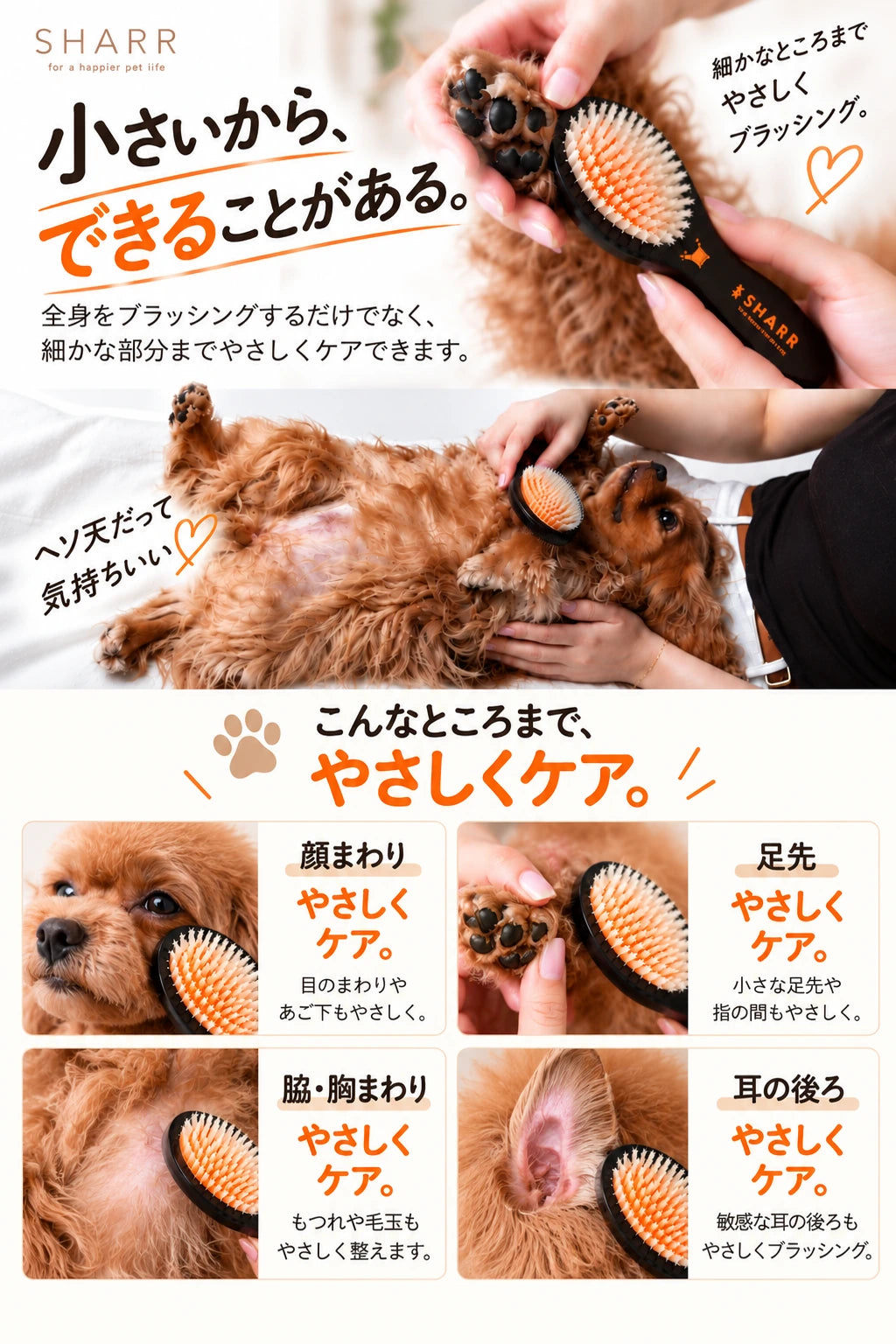 小さいから、できることがある。顔まわり・足先・脇や胸まわり・耳の後ろまで、やさしくケア。
