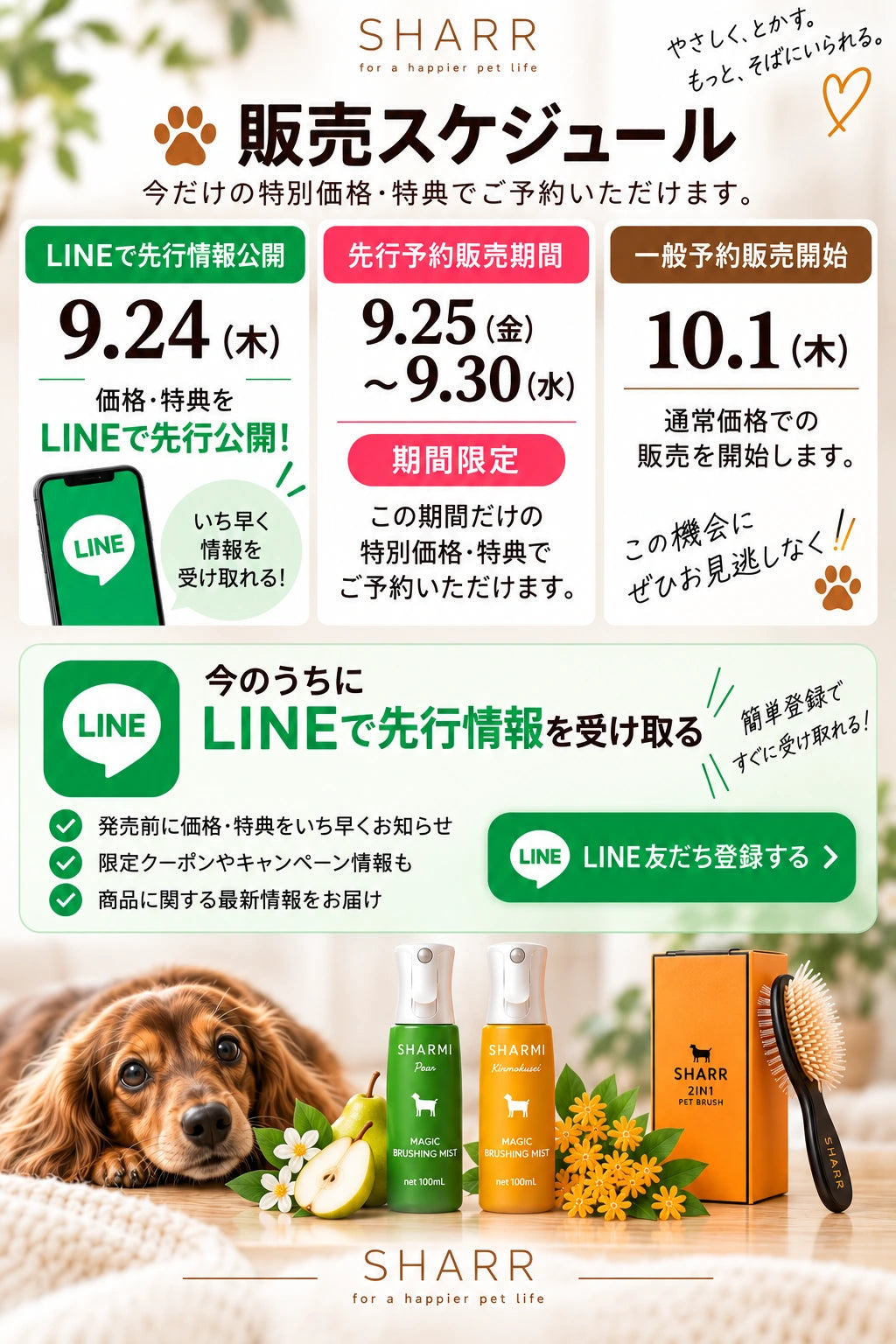 販売スケジュール：9月24日(木)LINEで価格・特典を先行公開、9月25日(金)〜9月30日(水)先行予約販売期間、10月1日(木)一般予約販売開始。