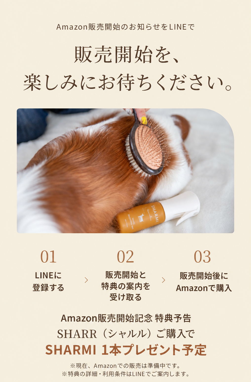 08LINE特典の利用