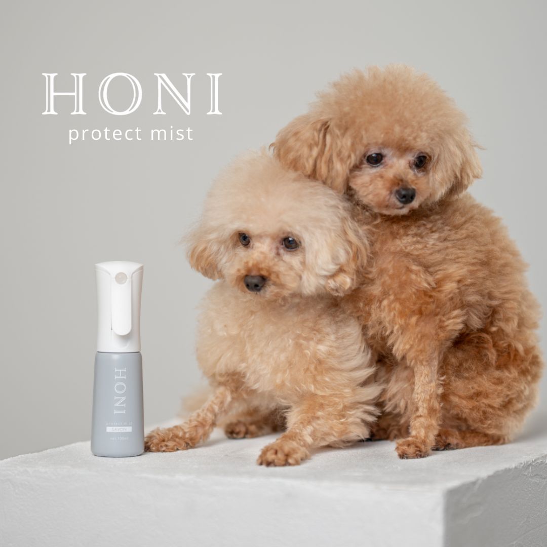 [Limited Quantity] [Expected delivery by end of May] Glossy Fluffy Set [Pet Brush + Mist]