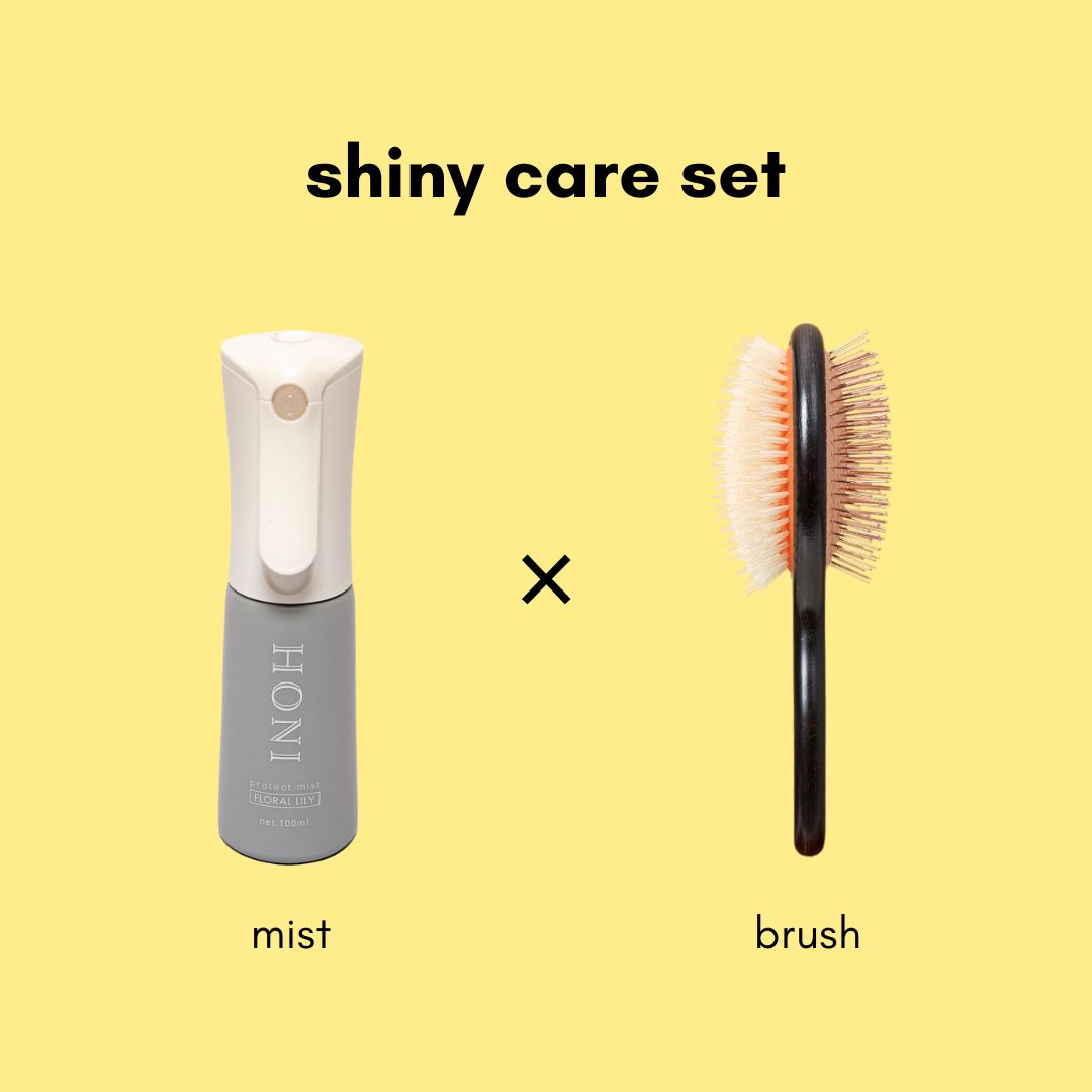 [Limited Quantity] [Expected delivery by end of May] Glossy Fluffy Set [Pet Brush + Mist]