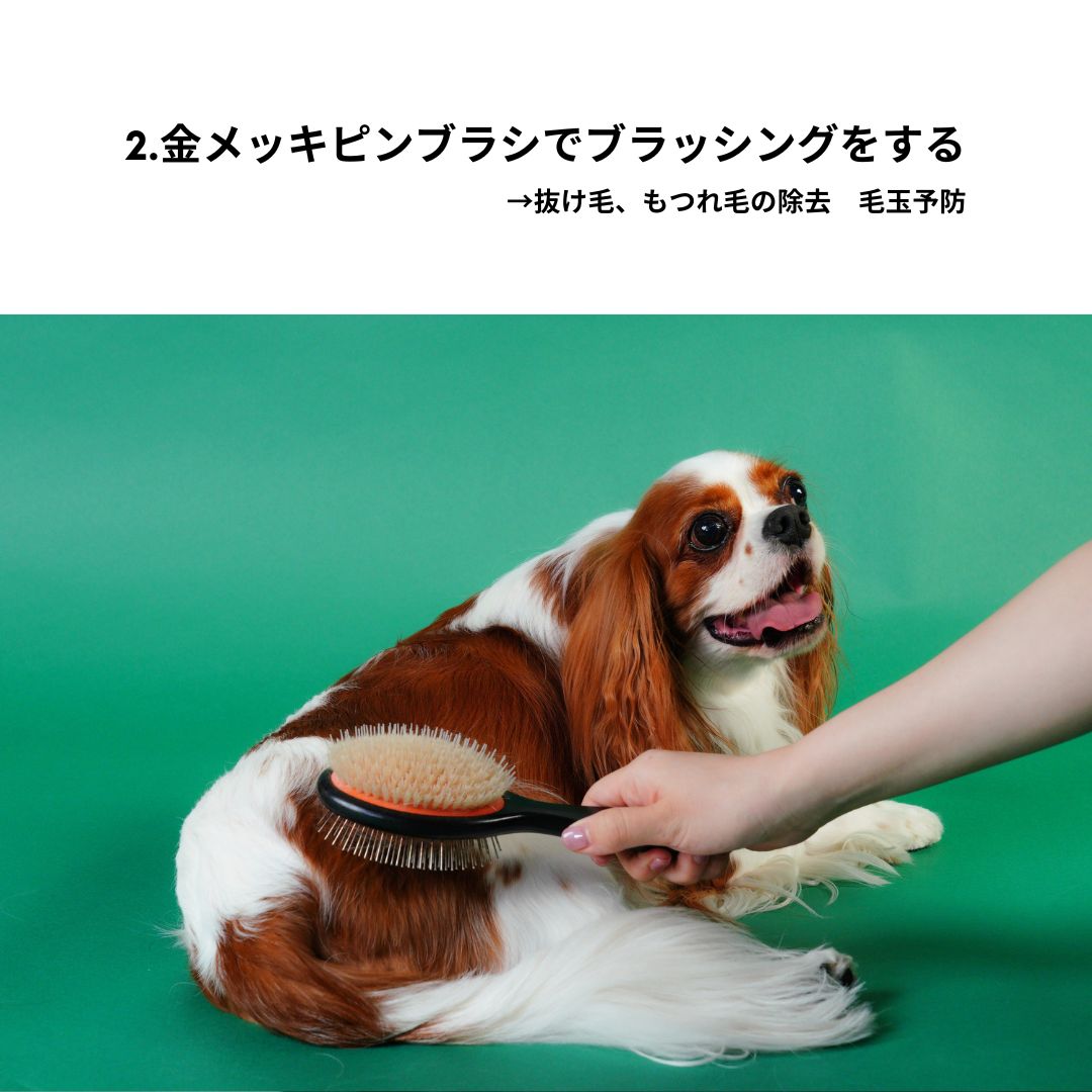 [Limited Quantity] [Expected delivery by end of May] Glossy Fluffy Set [Pet Brush + Mist]