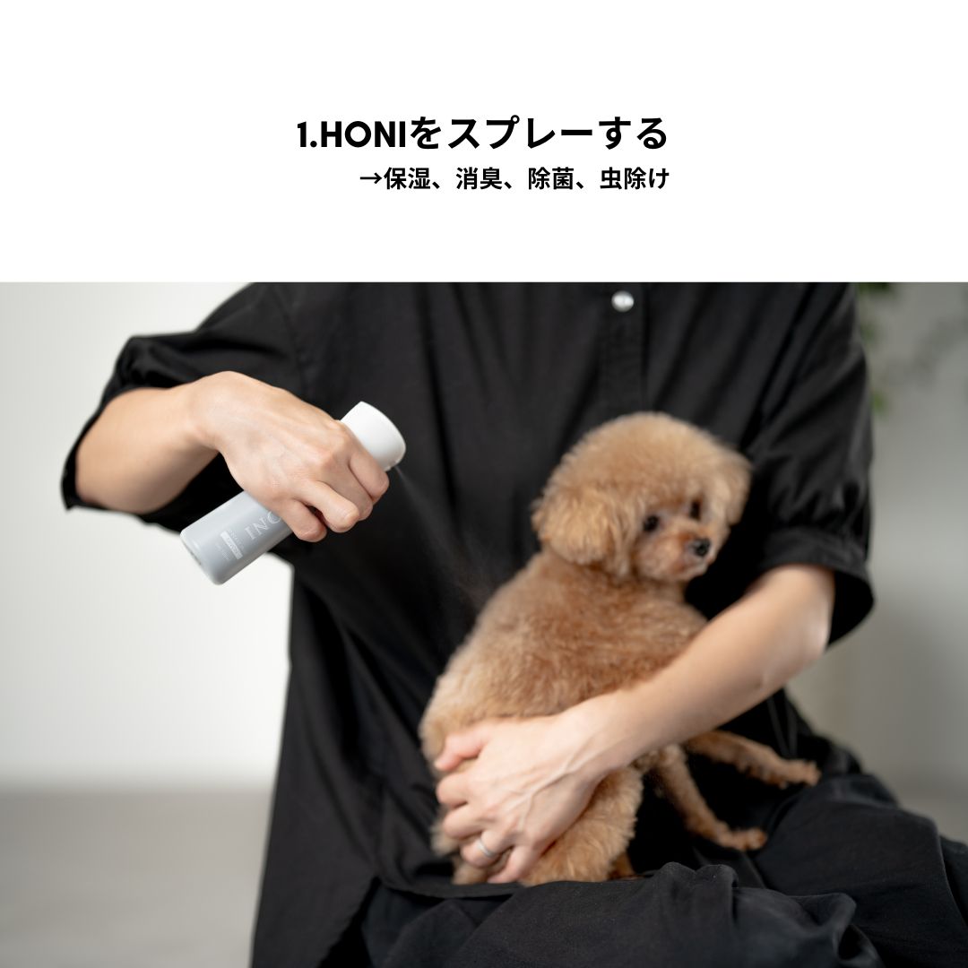 [Limited Quantity] [Expected delivery by end of May] Glossy Fluffy Set [Pet Brush + Mist]