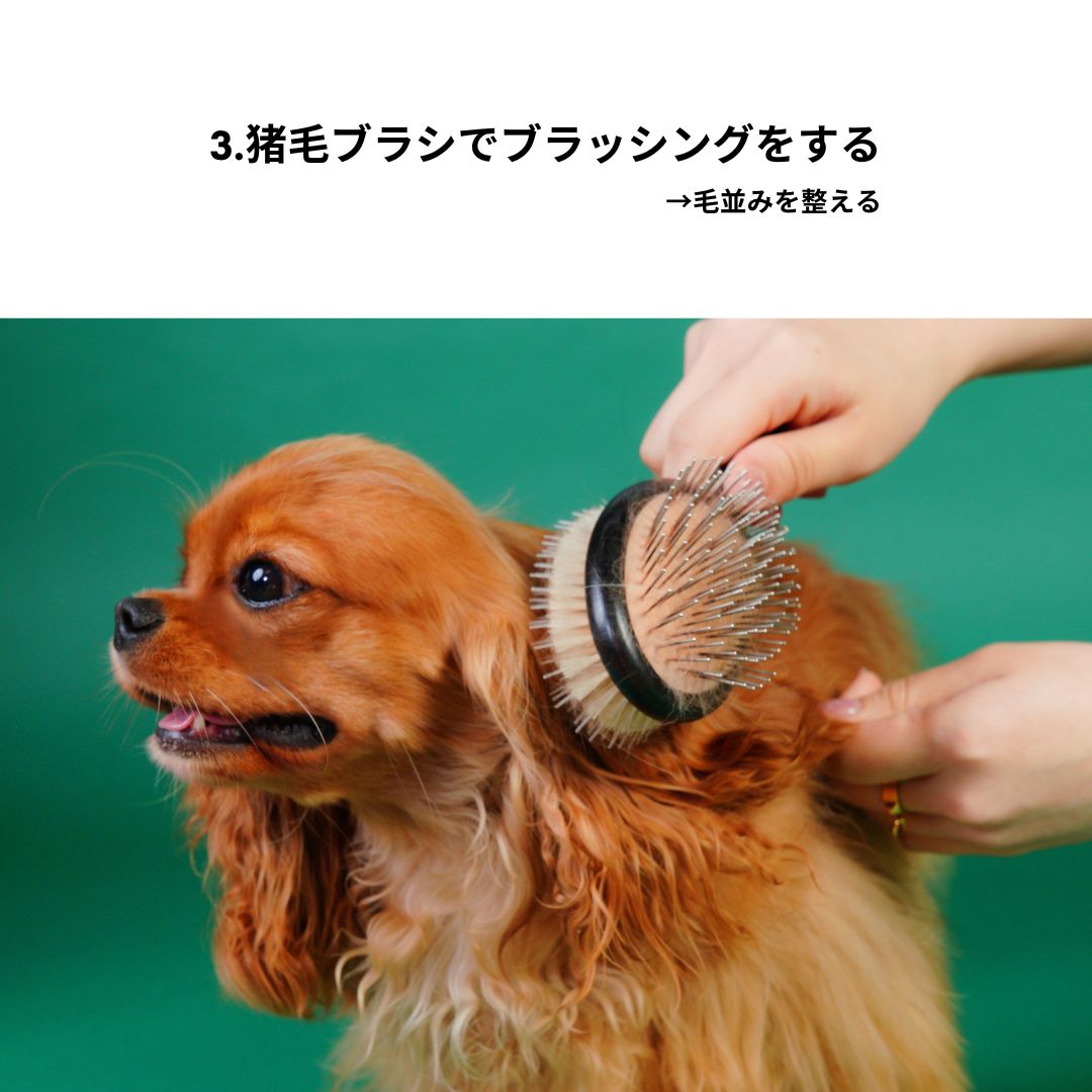 [Limited Quantity] [Expected delivery by end of May] Glossy Fluffy Set [Pet Brush + Mist]