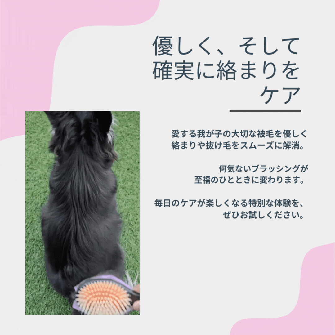 【予約販売:9月下旬発送】魔法のペットブラシ SHARR