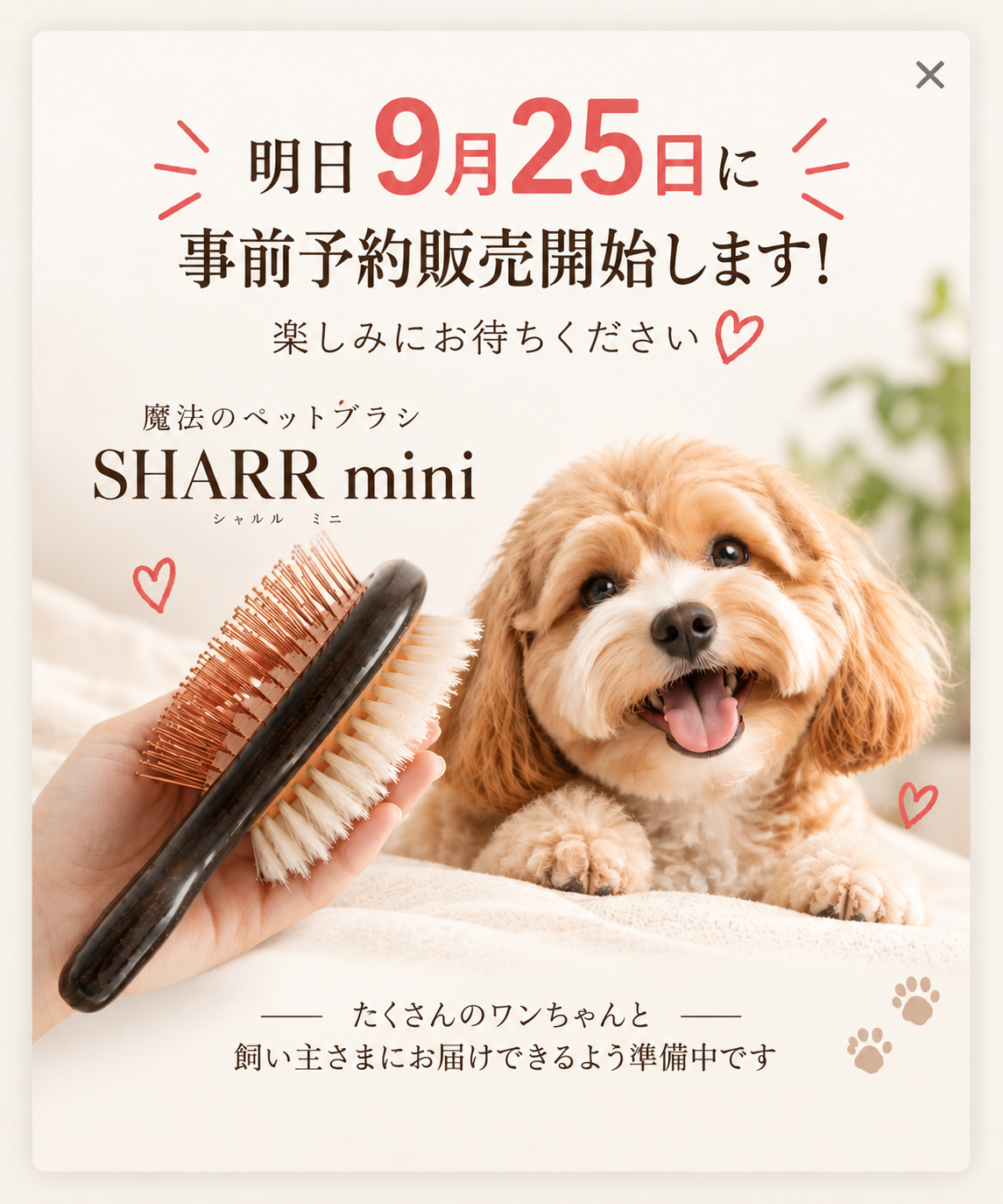明日、事前予約販売開始します