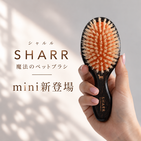 【2027年3月末までに発送予定】魔法のペットブラシSHARR mini(シャルル・ミニ)