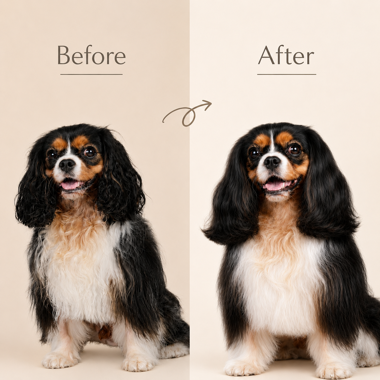 SHARMI Magic Starter Set (SHARR Pet Brush + 1 Magic Brushing Mist) – Pre-Order 