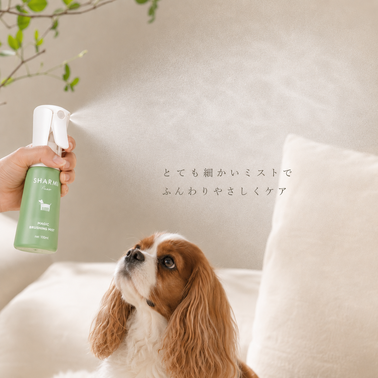 【卸専用】SHARMIボトル【予約販売・9月上旬頃発送予定】