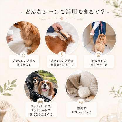 【卸専用】SHARMIボトル【予約販売・9月上旬頃発送予定】
