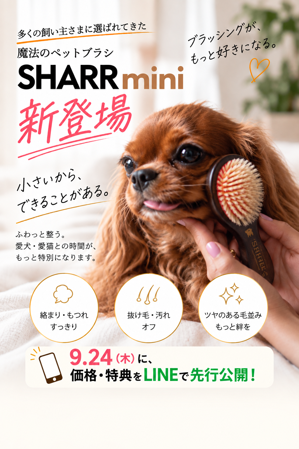 SHARR miniついに新登場。小さいから、できることがある。ブラッシングが、もっと好きになる。