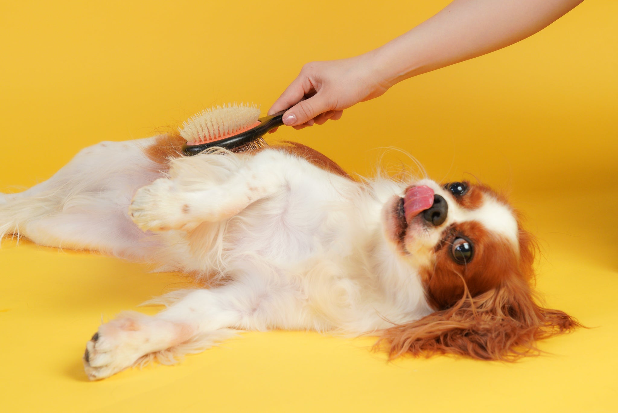 Magical Pet Brush SHARR