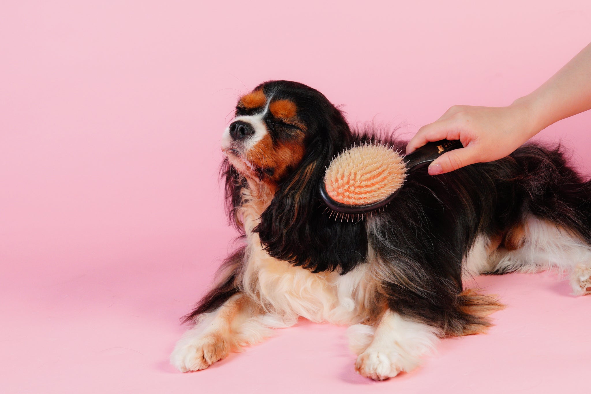 Magical Pet Brush SHARR