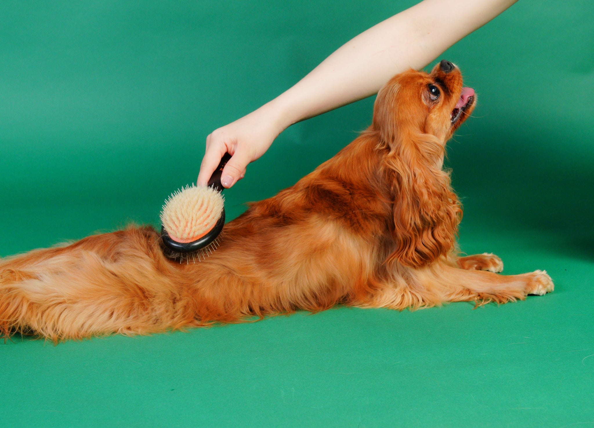 Magical Pet Brush SHARR