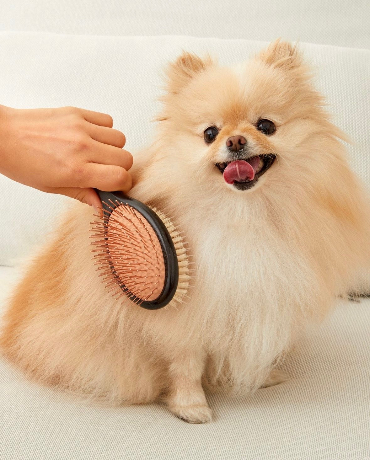 Magical Pet Brush SHARR
