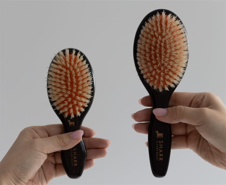 SHARRとSHARR miniを手に持って並べたサイズ比較